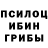Псилоцибиновые грибы Psilocybine cubensis Matyas Jurak