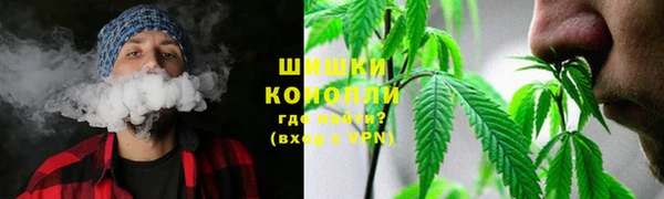 a pvp Инта