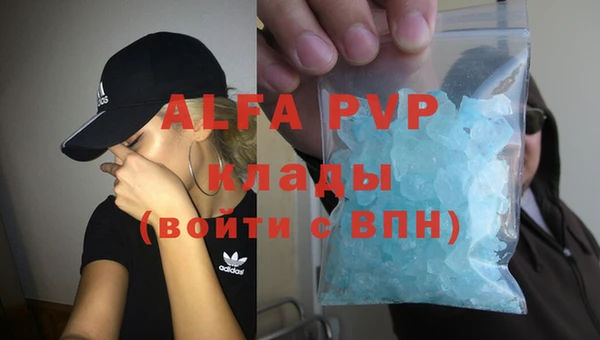 a pvp Инта