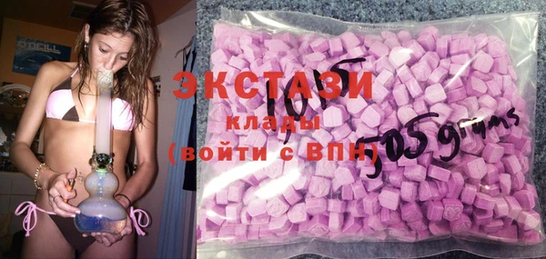 МДПВ Инсар