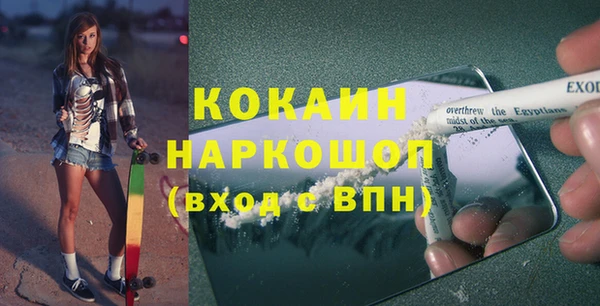 МДПВ Инсар