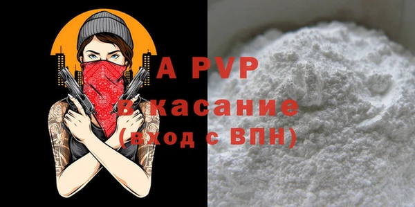 a pvp Инта
