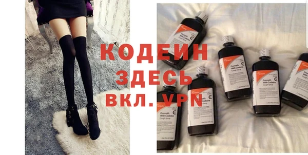МДПВ Инсар