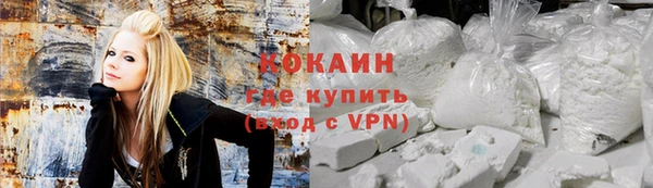 МДПВ Инсар